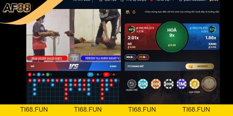 Đá Gà AF88 Trải Nghiệm Cá Cược Trực Tuyến Chuyên Nghiệp
