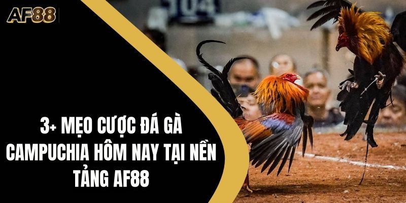Thủ Thuật Game - AF88