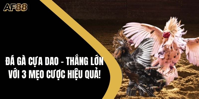 Thủ Thuật Game - AF88