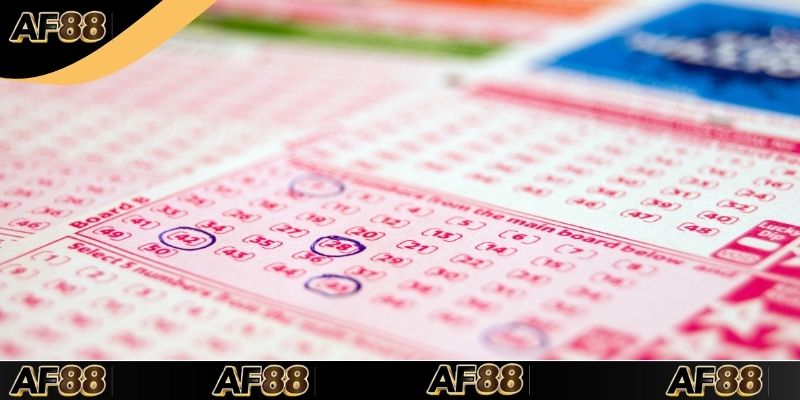 Soi Cầu Rồng Bạch Kim – Top 1 Công Cụ Bắt Cầu Lô Đề