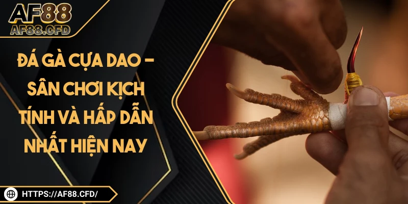 Trò Chơi Af88 - AF88