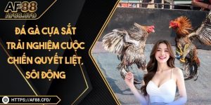 Bắn Cá AF88: Trải Nghiệm Giải Trí Trực Tuyến Sống động