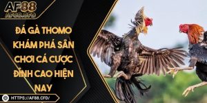 Bắn Cá AF88: Trải Nghiệm Giải Trí Trực Tuyến Sống động